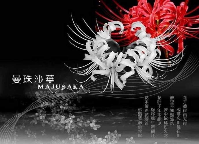代表错过遗憾的鲜花花语(表达错过的遗憾的id)-第1张图片-花花知道网 代表错过遗憾的鲜花花语(表达错过的遗憾的id)-第1张图片-花花知道网