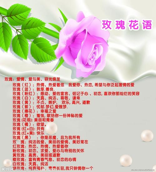 35支红玫瑰鲜花寓意(25支红玫瑰花语)-第1张图片-花花知道网 35支红玫瑰鲜花寓意(25支红玫瑰花语)-第1张图片-花花知道网