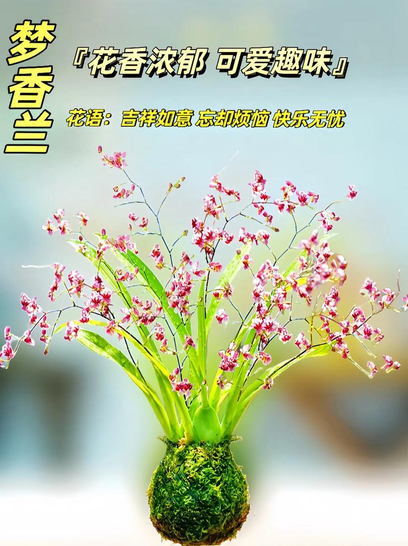 珍爱鲜花花语(珍爱鲜花花语怎么写)-第1张图片-花花知道网 珍爱鲜花花语(珍爱鲜花花语怎么写)-第1张图片-花花知道网