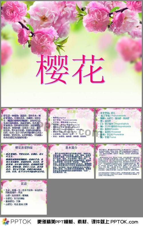 珍爱鲜花花语(珍爱鲜花花语怎么写)-第3张图片-花花知道网 珍爱鲜花花语(珍爱鲜花花语怎么写)-第3张图片-花花知道网