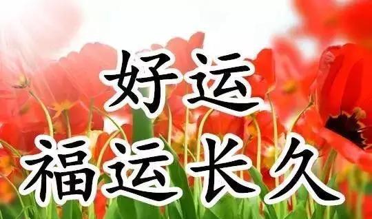 99鲜花的寓意(花语99朵代表什么意思)-第2张图片-花花知道网 99鲜花的寓意(花语99朵代表什么意思)-第2张图片-花花知道网