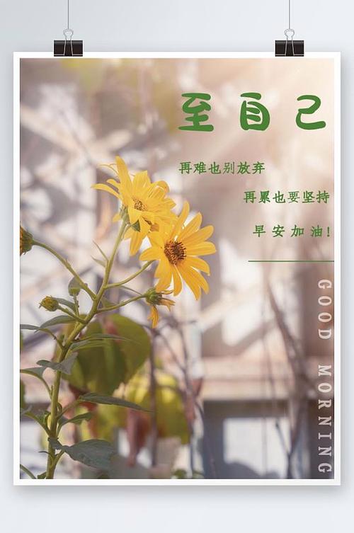 正能量鲜花花语(正能量鲜花花语是什么)-第2张图片-花花知道网 正能量鲜花花语(正能量鲜花花语是什么)-第2张图片-花花知道网