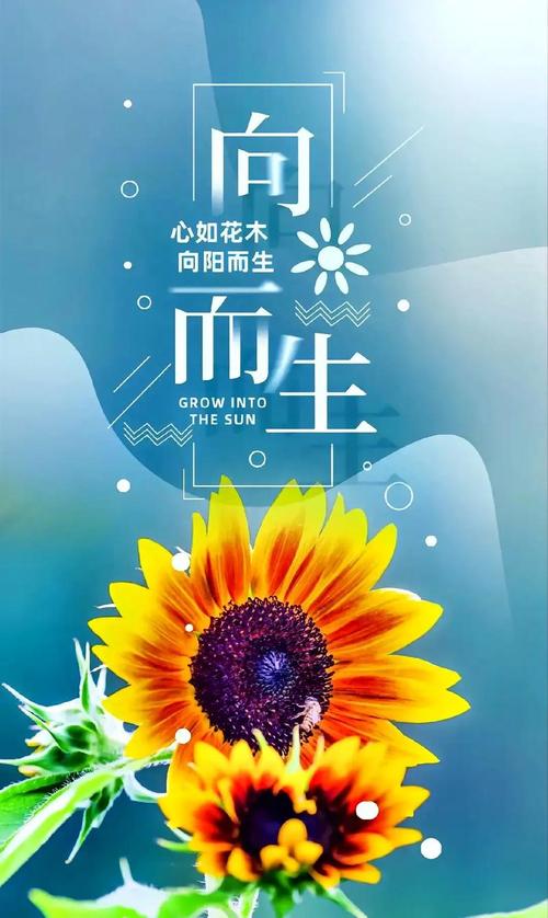 正能量鲜花花语(正能量鲜花花语是什么)-第4张图片-花花知道网 正能量鲜花花语(正能量鲜花花语是什么)-第4张图片-花花知道网