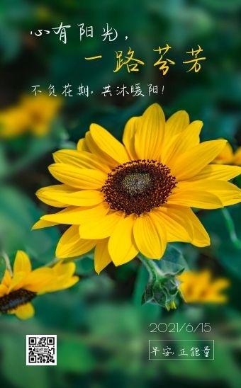 正能量鲜花花语(正能量鲜花花语是什么)-第5张图片-花花知道网 正能量鲜花花语(正能量鲜花花语是什么)-第5张图片-花花知道网