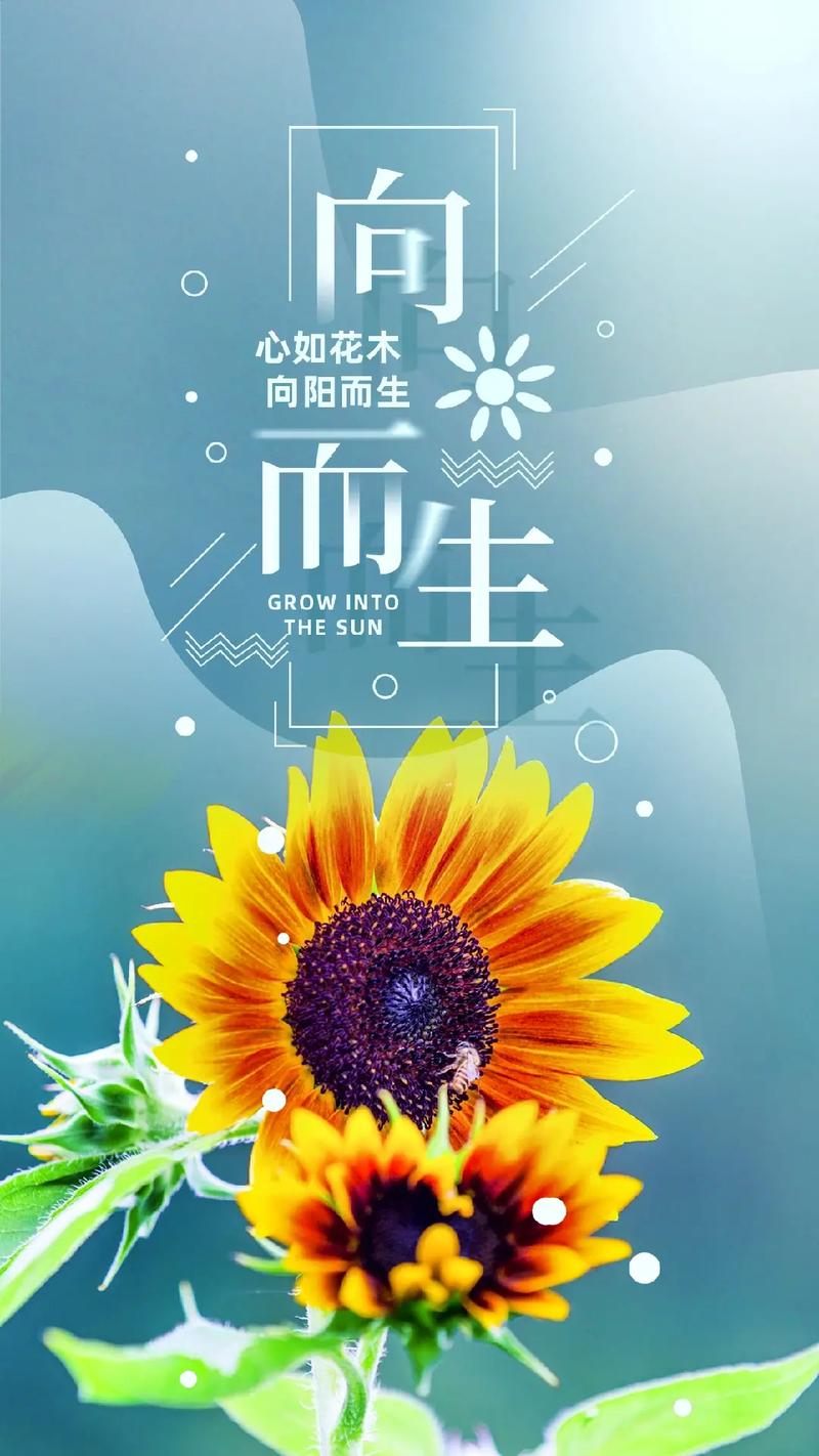 向日葵鲜花花束的花语和寓意(向日葵鲜花花束的花语和寓意是什么)-第6张图片-花花知道网 向日葵鲜花花束的花语和寓意(向日葵鲜花花束的花语和寓意是什么)-第6张图片-花花知道网