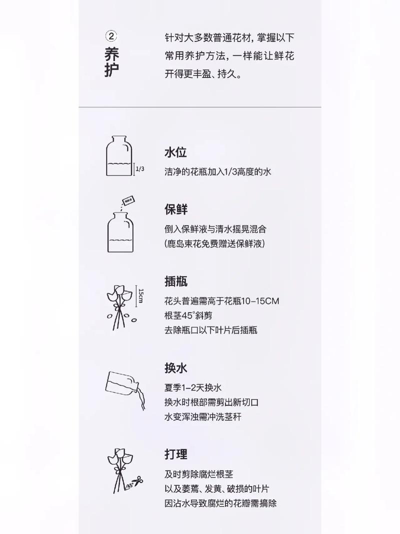 酒吧开业送花束的讲究(酒吧开业送什么花)-第2张图片-花花知道网 酒吧开业送花束的讲究(酒吧开业送什么花)-第2张图片-花花知道网