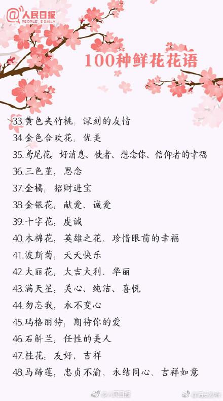花语大全送花的讲究是什么(花语及送花礼仪)-第2张图片-花花知道网 花语大全送花的讲究是什么(花语及送花礼仪)-第2张图片-花花知道网