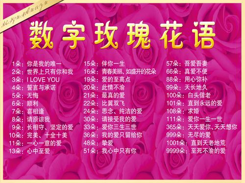 送花颜色的深浅有讲究吗(花送什么颜色)-第2张图片-花花知道网 送花颜色的深浅有讲究吗(花送什么颜色)-第2张图片-花花知道网