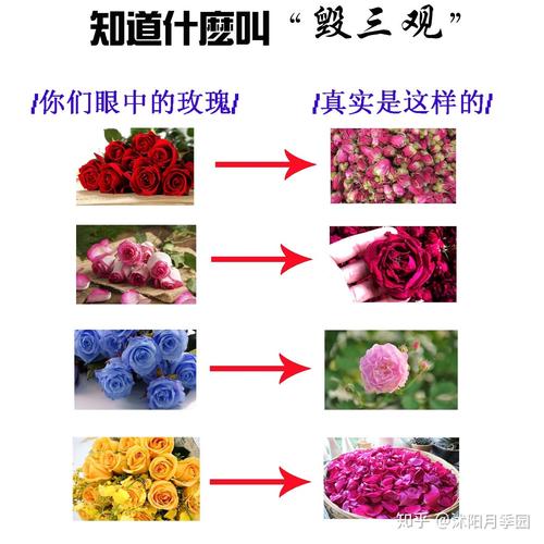 送花颜色的深浅有讲究吗(花送什么颜色)-第6张图片-花花知道网 送花颜色的深浅有讲究吗(花送什么颜色)-第6张图片-花花知道网
