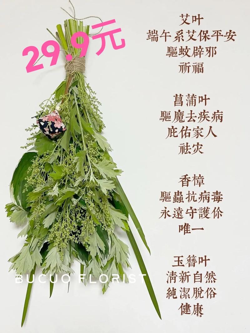 鲜花花绳花语(12123交罚款交重复了怎么办)-第6张图片-花花知道网 鲜花花绳花语(12123交罚款交重复了怎么办)-第6张图片-花花知道网