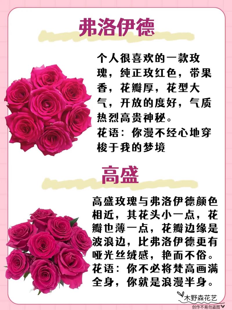 30几朵鲜花有什么寓意(30朵玫瑰花是什么意思呢)-第8张图片-花花知道网 30几朵鲜花有什么寓意(30朵玫瑰花是什么意思呢)-第8张图片-花花知道网