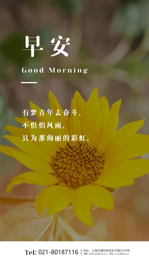 正能量的鲜花花语(寓意正能量的花)-第1张图片-花花知道网 正能量的鲜花花语(寓意正能量的花)-第1张图片-花花知道网