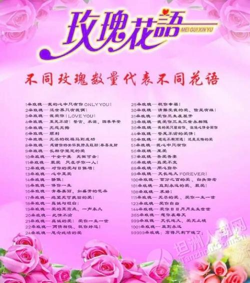 19多鲜花寓意(鲜花19朵代表什么意思)-第4张图片-花花知道网 19多鲜花寓意(鲜花19朵代表什么意思)-第4张图片-花花知道网