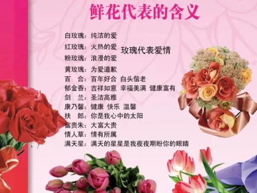 给女朋友送花的讲究(给女朋友送花怎么搭配)-第6张图片-花花知道网 给女朋友送花的讲究(给女朋友送花怎么搭配)-第6张图片-花花知道网