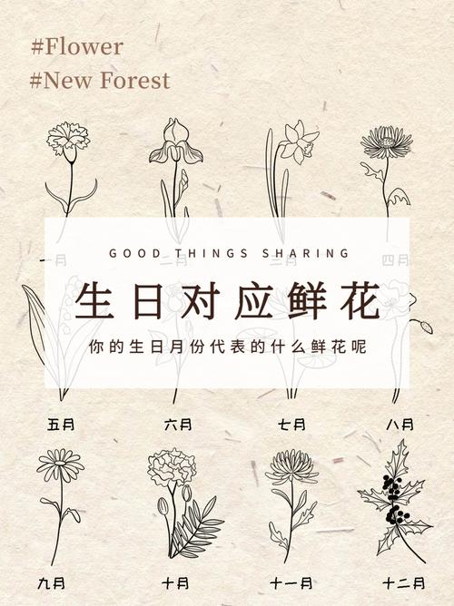 晋江送花的讲究(晋江文学城送神)-第1张图片-花花知道网 晋江送花的讲究(晋江文学城送神)-第1张图片-花花知道网