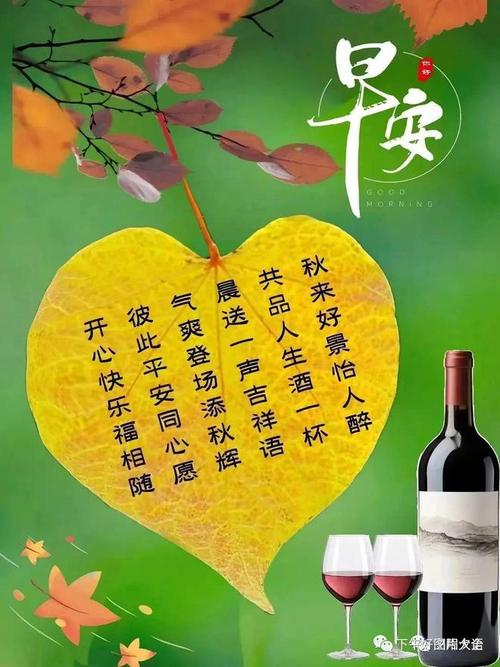 早上好鲜花花语(早上好的鲜花短视频)-第1张图片-花花知道网 早上好鲜花花语(早上好的鲜花短视频)-第1张图片-花花知道网