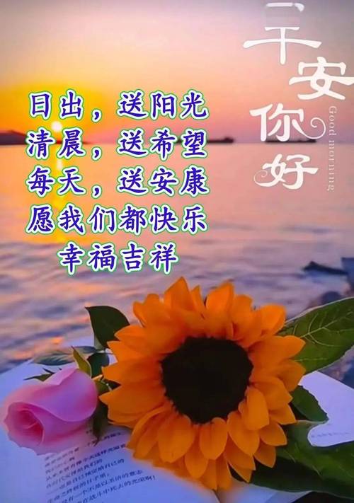 早上好鲜花花语(早上好的鲜花短视频)-第3张图片-花花知道网 早上好鲜花花语(早上好的鲜花短视频)-第3张图片-花花知道网