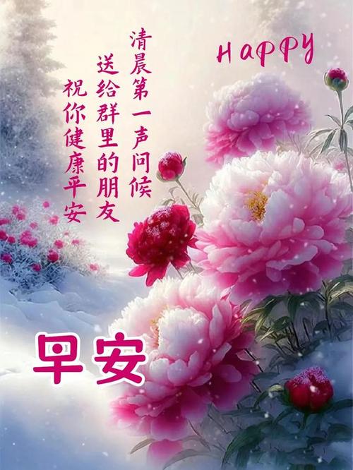 早上好鲜花花语(早上好的鲜花短视频)-第4张图片-花花知道网 早上好鲜花花语(早上好的鲜花短视频)-第4张图片-花花知道网