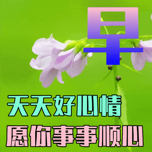 早上好鲜花花语(早上好的鲜花短视频)-第5张图片-花花知道网 早上好鲜花花语(早上好的鲜花短视频)-第5张图片-花花知道网