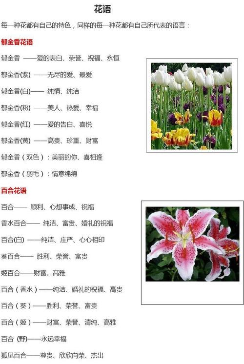 情人梅鲜花花语(情人梅花怎么种植)-第1张图片-花花知道网 情人梅鲜花花语(情人梅花怎么种植)-第1张图片-花花知道网