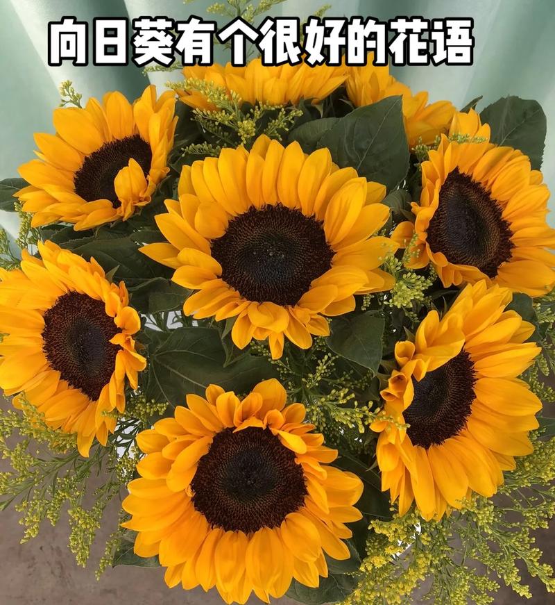 5朵向日葵鲜花花束寓意(5朵向日葵鲜花花束寓意)-第4张图片-花花知道网 5朵向日葵鲜花花束寓意(5朵向日葵鲜花花束寓意)-第4张图片-花花知道网