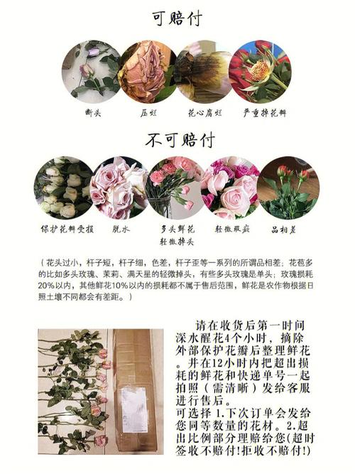 给女友送花的讲究(给女朋友送花应该说些什么)-第4张图片-花花知道网 给女友送花的讲究(给女朋友送花应该说些什么)-第4张图片-花花知道网