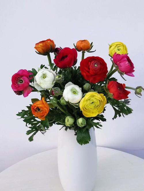 6朵混搭鲜花花束寓意着什么(六朵鲜花)-第1张图片-花花知道网 6朵混搭鲜花花束寓意着什么(六朵鲜花)-第1张图片-花花知道网