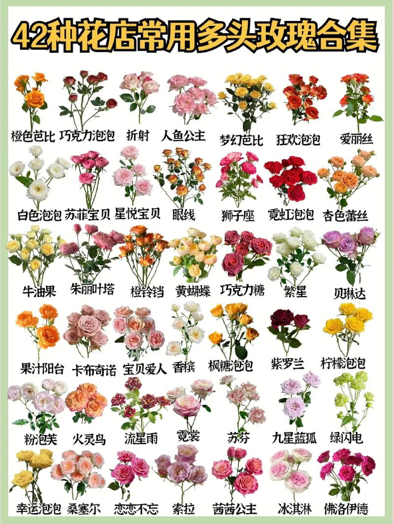 15朵鲜花寓意(15朵鲜花代表什么)-第6张图片-花花知道网 15朵鲜花寓意(15朵鲜花代表什么)-第6张图片-花花知道网