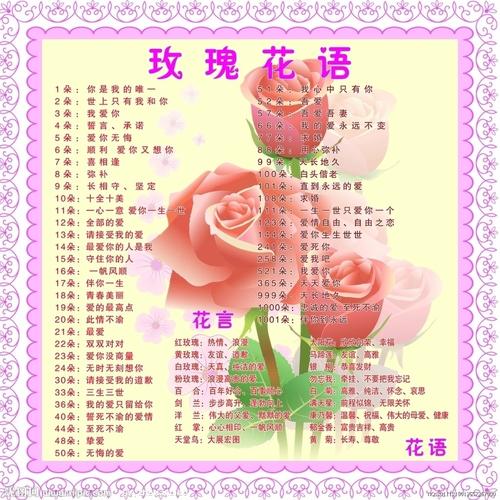 9朵玫瑰鲜花混搭花语及寓意(9朵玫瑰花花束图片)-第3张图片-花花知道网 9朵玫瑰鲜花混搭花语及寓意(9朵玫瑰花花束图片)-第3张图片-花花知道网