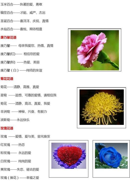 10朵鲜花的寓意及花语(10朵鲜花的寓意及花语)-第4张图片-花花知道网 10朵鲜花的寓意及花语(10朵鲜花的寓意及花语)-第4张图片-花花知道网