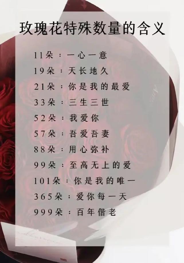 520鲜花代表的寓意(520送花的花语)-第1张图片-花花知道网 520鲜花代表的寓意(520送花的花语)-第1张图片-花花知道网