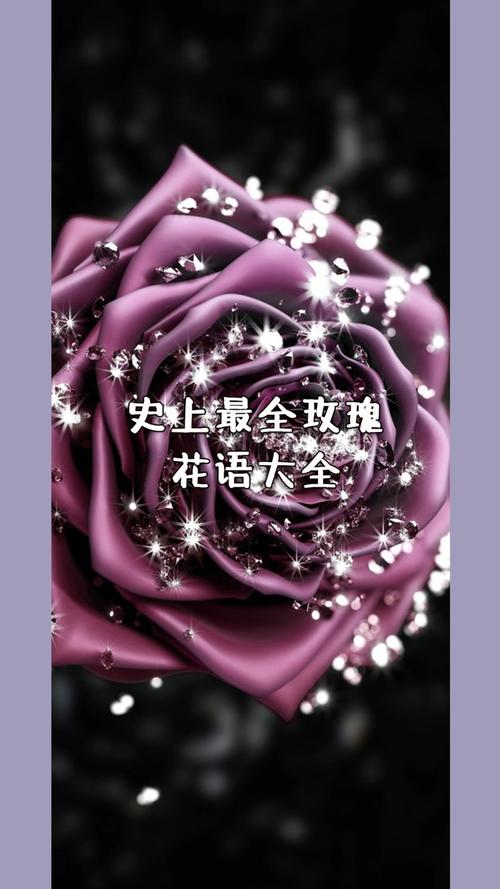 19朵白玫瑰鲜花的寓意(19朵白玫瑰鲜花的寓意和象征)-第7张图片-花花知道网 19朵白玫瑰鲜花的寓意(19朵白玫瑰鲜花的寓意和象征)-第7张图片-花花知道网