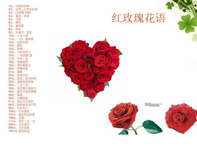 12朵鲜花都代表着什么寓意(12朵花有什么寓意吗)-第5张图片-花花知道网 12朵鲜花都代表着什么寓意(12朵花有什么寓意吗)-第5张图片-花花知道网
