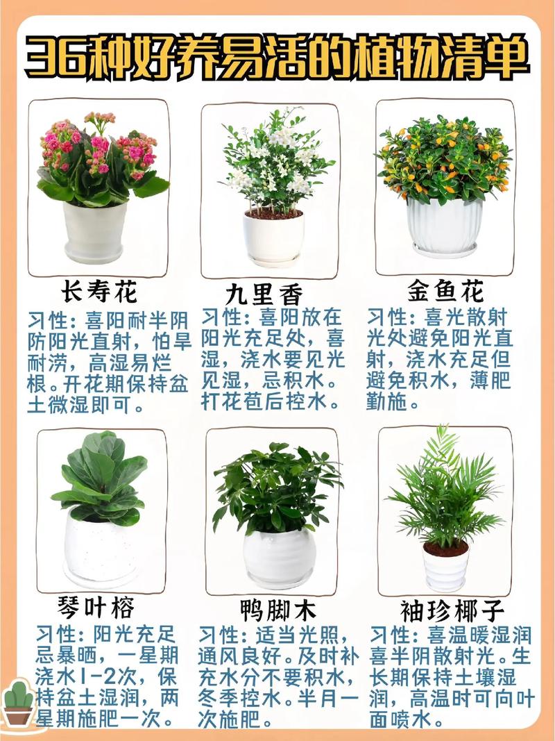 11朵鲜花插花泥的寓意(11朵鲜花插花泥的寓意和象征)-第4张图片-花花知道网 11朵鲜花插花泥的寓意(11朵鲜花插花泥的寓意和象征)-第4张图片-花花知道网