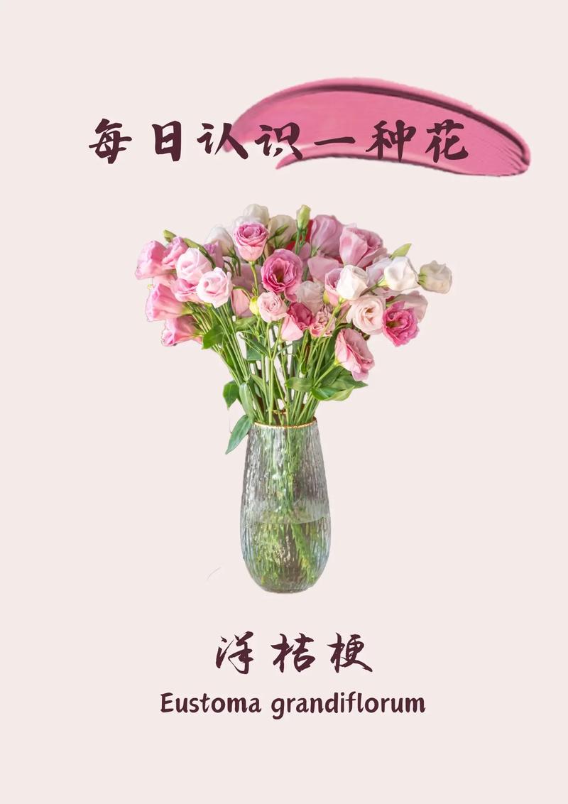 11朵洋桔梗鲜花寓意什么(19朵洋桔梗是什么意思)-第3张图片-花花知道网 11朵洋桔梗鲜花寓意什么(19朵洋桔梗是什么意思)-第3张图片-花花知道网
