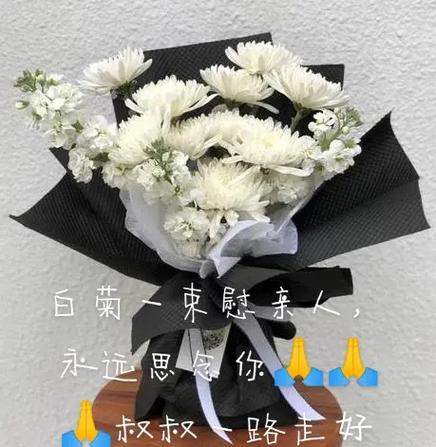 11朵白菊花鲜花花束寓意(十朵白菊花的寓意)-第5张图片-花花知道网 11朵白菊花鲜花花束寓意(十朵白菊花的寓意)-第5张图片-花花知道网