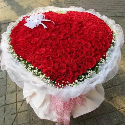 520不同鲜花寓意(520送花寓意)-第6张图片-花花知道网 520不同鲜花寓意(520送花寓意)-第6张图片-花花知道网