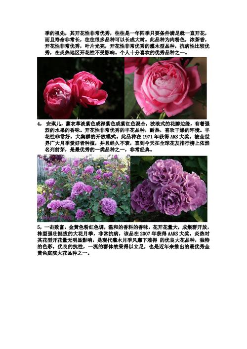 75朵鲜花寓意(75朵玫瑰花语是什么意思)-第4张图片-花花知道网 75朵鲜花寓意(75朵玫瑰花语是什么意思)-第4张图片-花花知道网