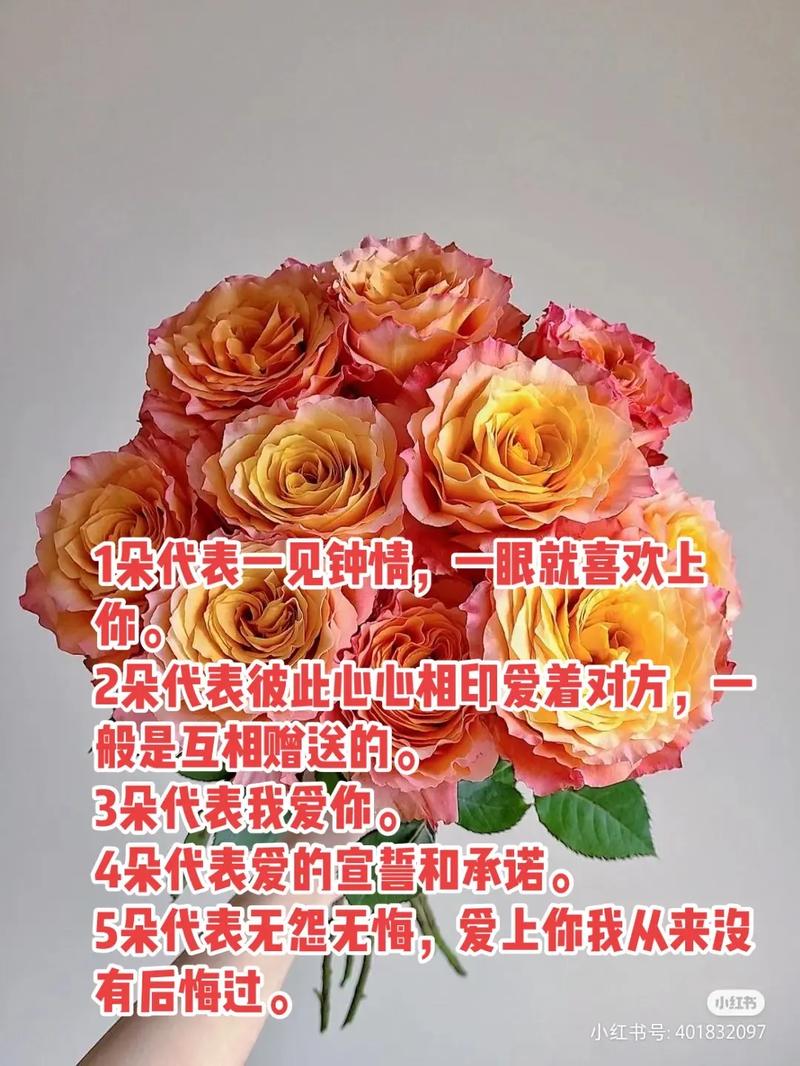 36支红玫瑰鲜花寓意着什么(365朵红玫瑰花有多重)-第2张图片-花花知道网 36支红玫瑰鲜花寓意着什么(365朵红玫瑰花有多重)-第2张图片-花花知道网