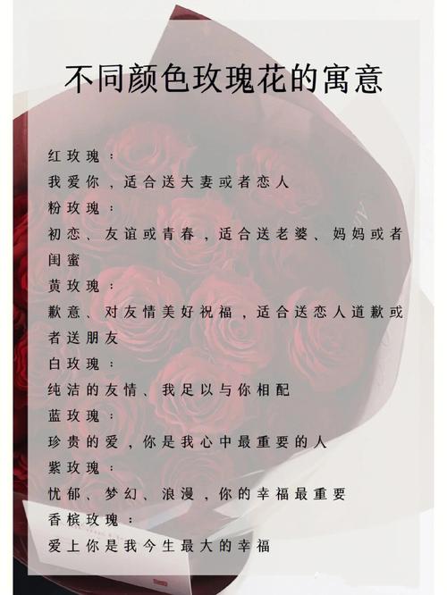 9枝鲜花的寓意是什么呢(9支花的寓意)-第1张图片-花花知道网 9枝鲜花的寓意是什么呢(9支花的寓意)-第1张图片-花花知道网