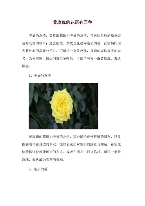 9枝鲜花的寓意是什么呢(9支花的寓意)-第2张图片-花花知道网 9枝鲜花的寓意是什么呢(9支花的寓意)-第2张图片-花花知道网