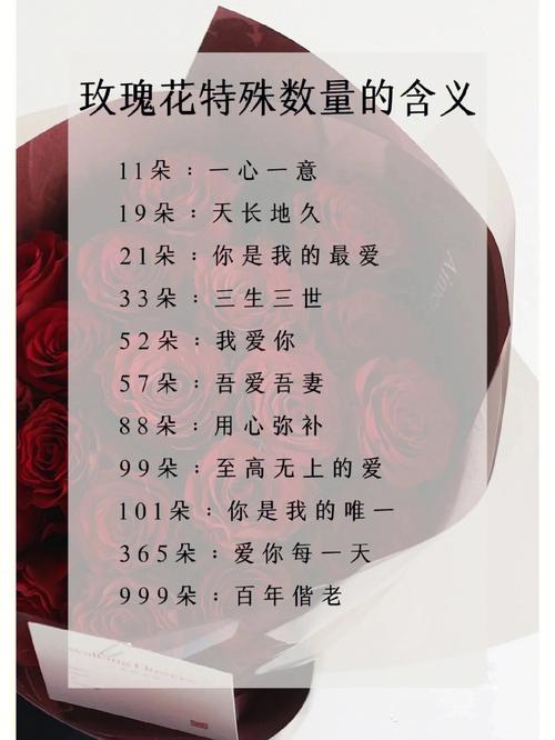 9枝鲜花的寓意是什么呢(9支花的寓意)-第3张图片-花花知道网 9枝鲜花的寓意是什么呢(9支花的寓意)-第3张图片-花花知道网