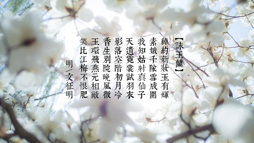 10月份有什么寓意好的鲜花(十月有什么代表性的花)-第2张图片-花花知道网 10月份有什么寓意好的鲜花(十月有什么代表性的花)-第2张图片-花花知道网