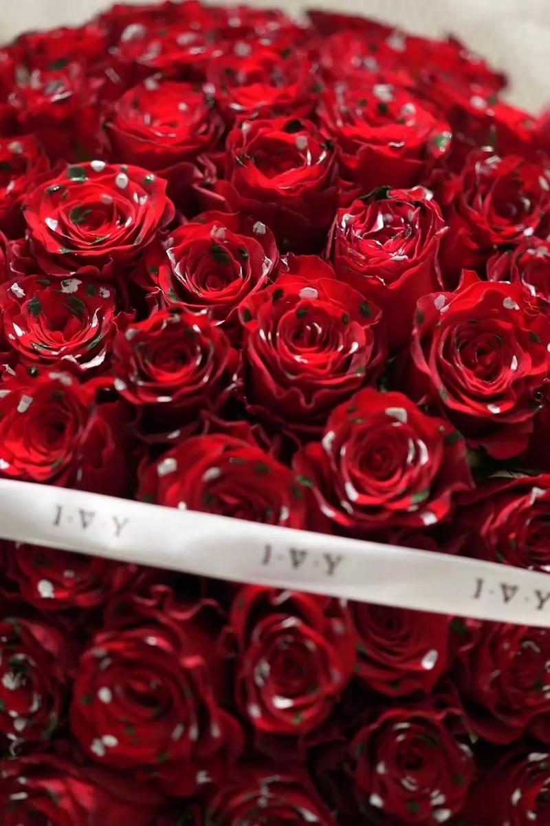 11朵红玫瑰鲜花花语及寓意(11朵红玫瑰花图片)-第3张图片-花花知道网 11朵红玫瑰鲜花花语及寓意(11朵红玫瑰花图片)-第3张图片-花花知道网
