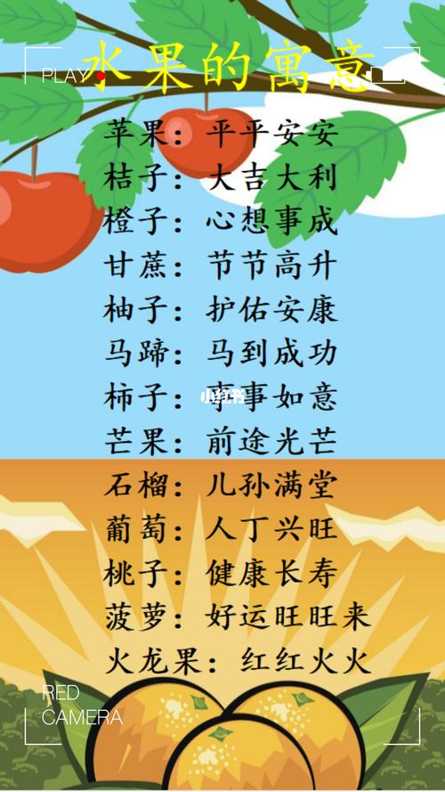 33颗荔枝鲜花花语寓意(荔枝花束花语)-第2张图片-花花知道网 33颗荔枝鲜花花语寓意(荔枝花束花语)-第2张图片-花花知道网