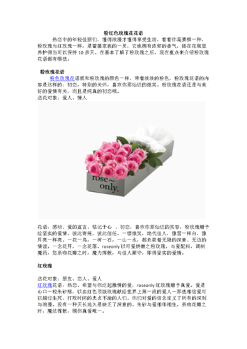 11朵鲜花大花束寓意着什么(11朵鲜花的花语)-第3张图片-花花知道网 11朵鲜花大花束寓意着什么(11朵鲜花的花语)-第3张图片-花花知道网