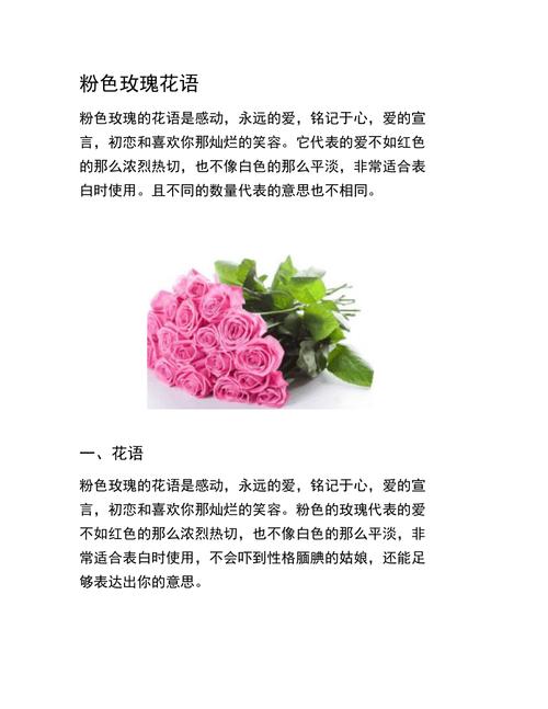 11朵鲜花大花束寓意着什么(11朵鲜花的花语)-第4张图片-花花知道网 11朵鲜花大花束寓意着什么(11朵鲜花的花语)-第4张图片-花花知道网