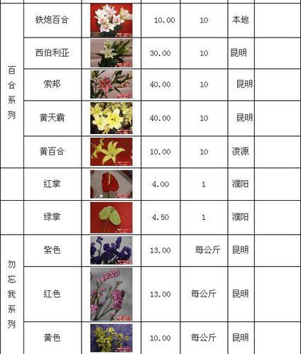 38节日鲜花花束寓意(38节送什么花)-第3张图片-花花知道网 38节日鲜花花束寓意(38节送什么花)-第3张图片-花花知道网