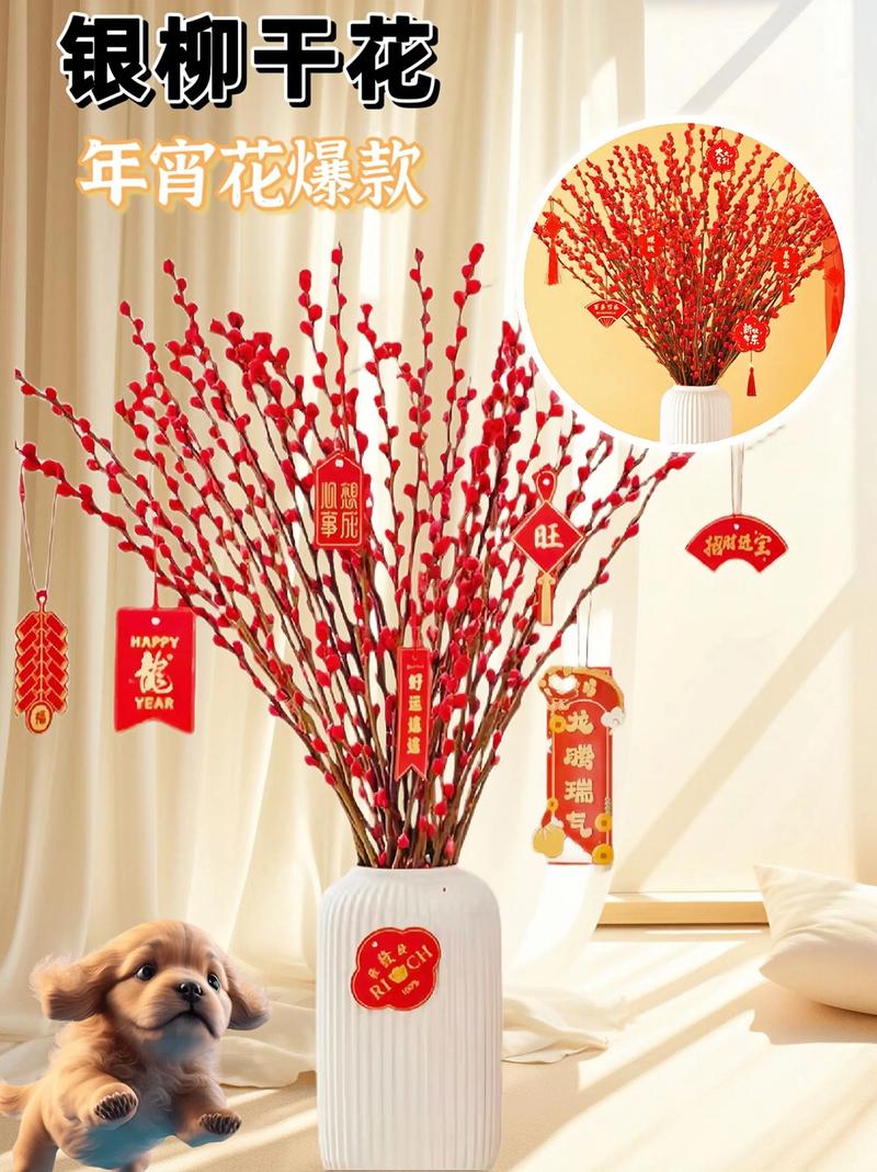 24年春节买什么鲜花寓意好(春节买什么花比较好寓意)-第2张图片-花花知道网 24年春节买什么鲜花寓意好(春节买什么花比较好寓意)-第2张图片-花花知道网