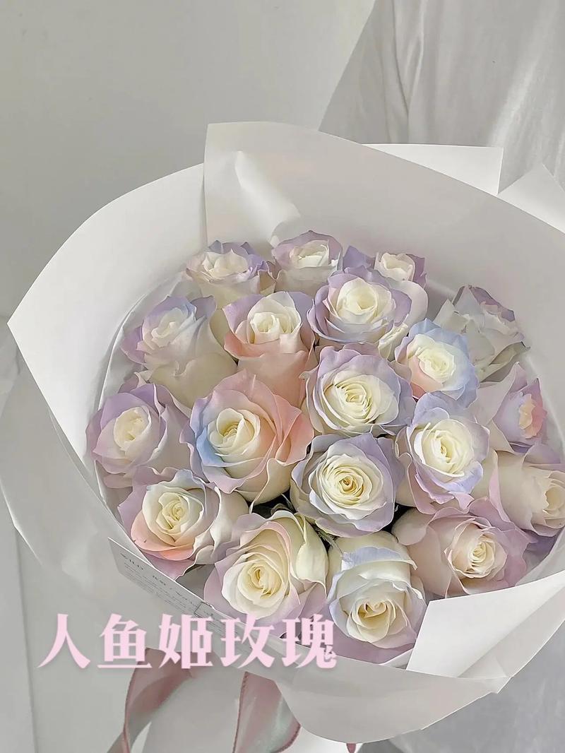 11朵人鱼姬鲜花花语及寓意(人鱼姬造型)-第3张图片-花花知道网 11朵人鱼姬鲜花花语及寓意(人鱼姬造型)-第3张图片-花花知道网